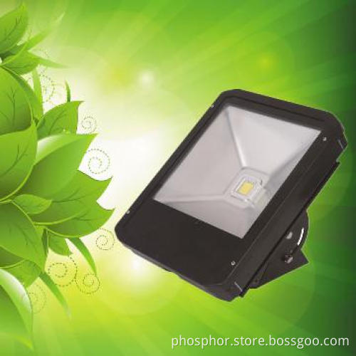 outdoor IP65 30W LED flood light AC95-265V 50000H with CE ROHS